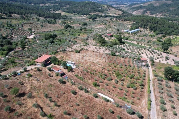 Terreno para Venda em Moreiras Foto 20