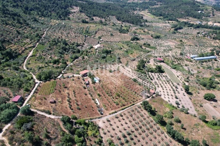 Terreno para Venda em Moreiras Foto 24