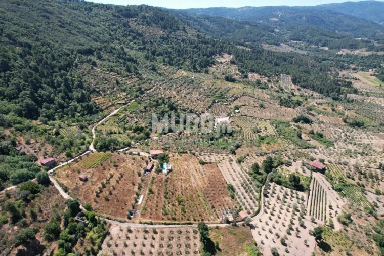 Terreno para Venda em Moreiras Foto 22