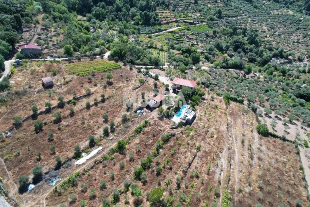 Terreno para Venda em Moreiras Foto 19