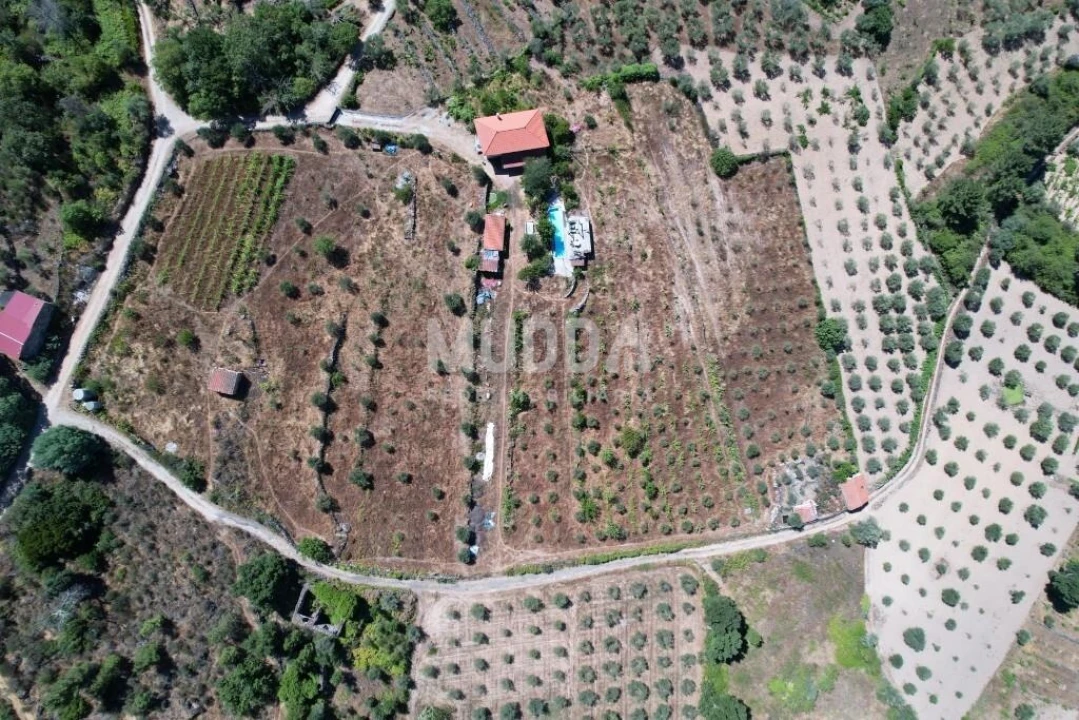 Terreno para Venda em Moreiras Foto 2