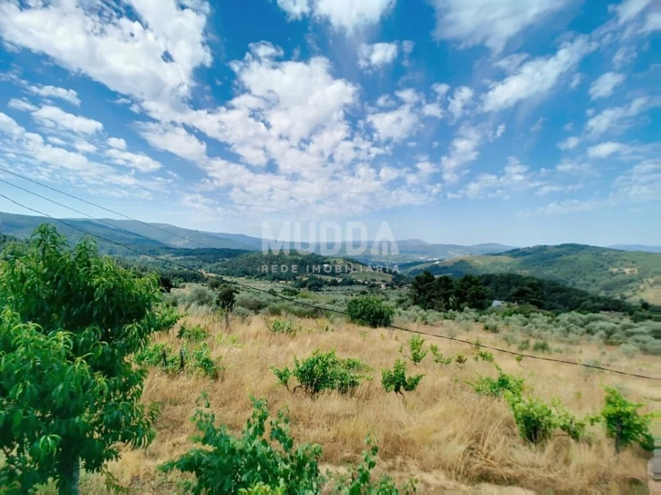 Terreno para Venda em Moreiras Foto 18