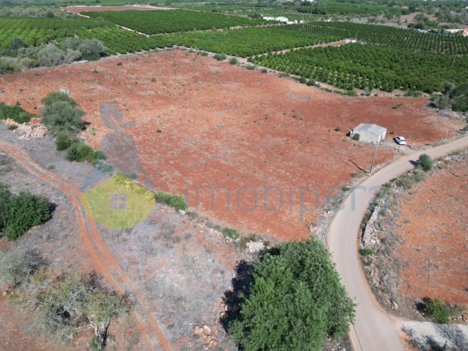 Terreno Agricola ou Rústico para Venda em Alcantarilha e Pêra Foto 9