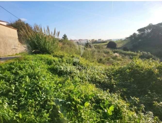Terreno para Venda em Turcifal Foto 12