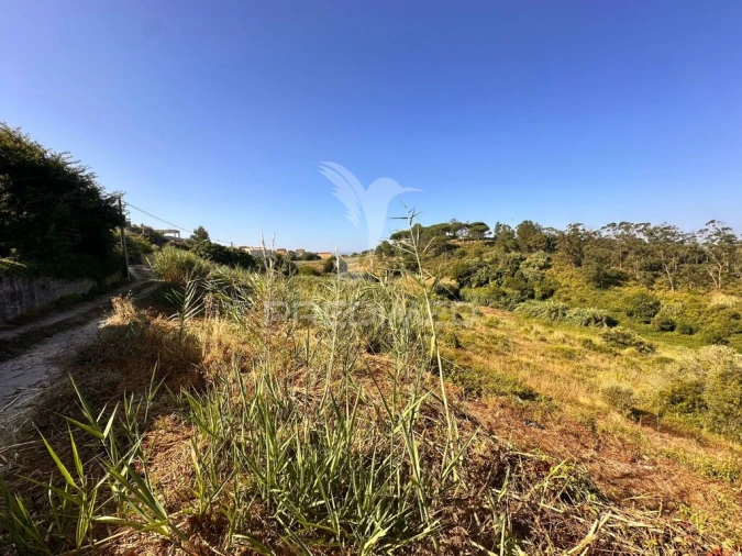 Terreno para Venda em Turcifal Foto 4