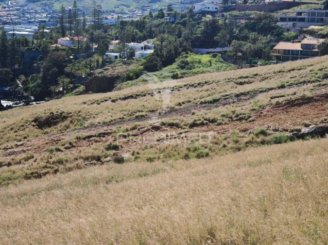 Terreno para Venda em Caniçal Foto 9