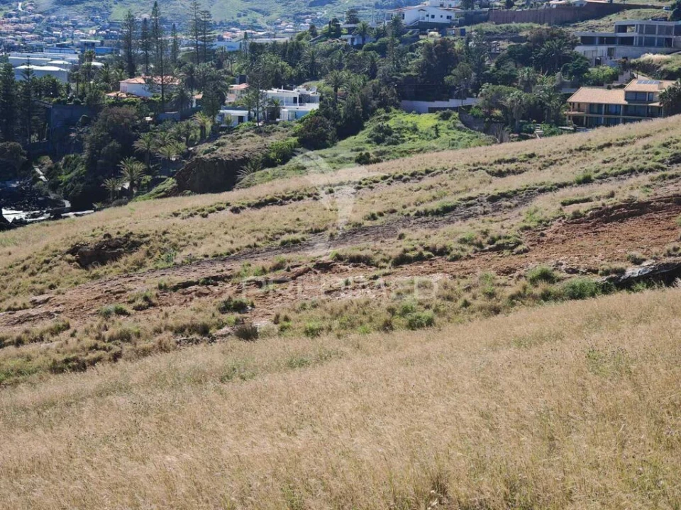 Terreno para Venda em Caniçal Foto 9