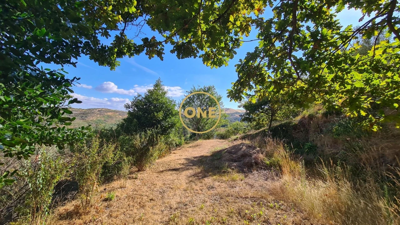 Moradia T5 para Venda em Gondiães e Vilar de Cunhas Foto 35