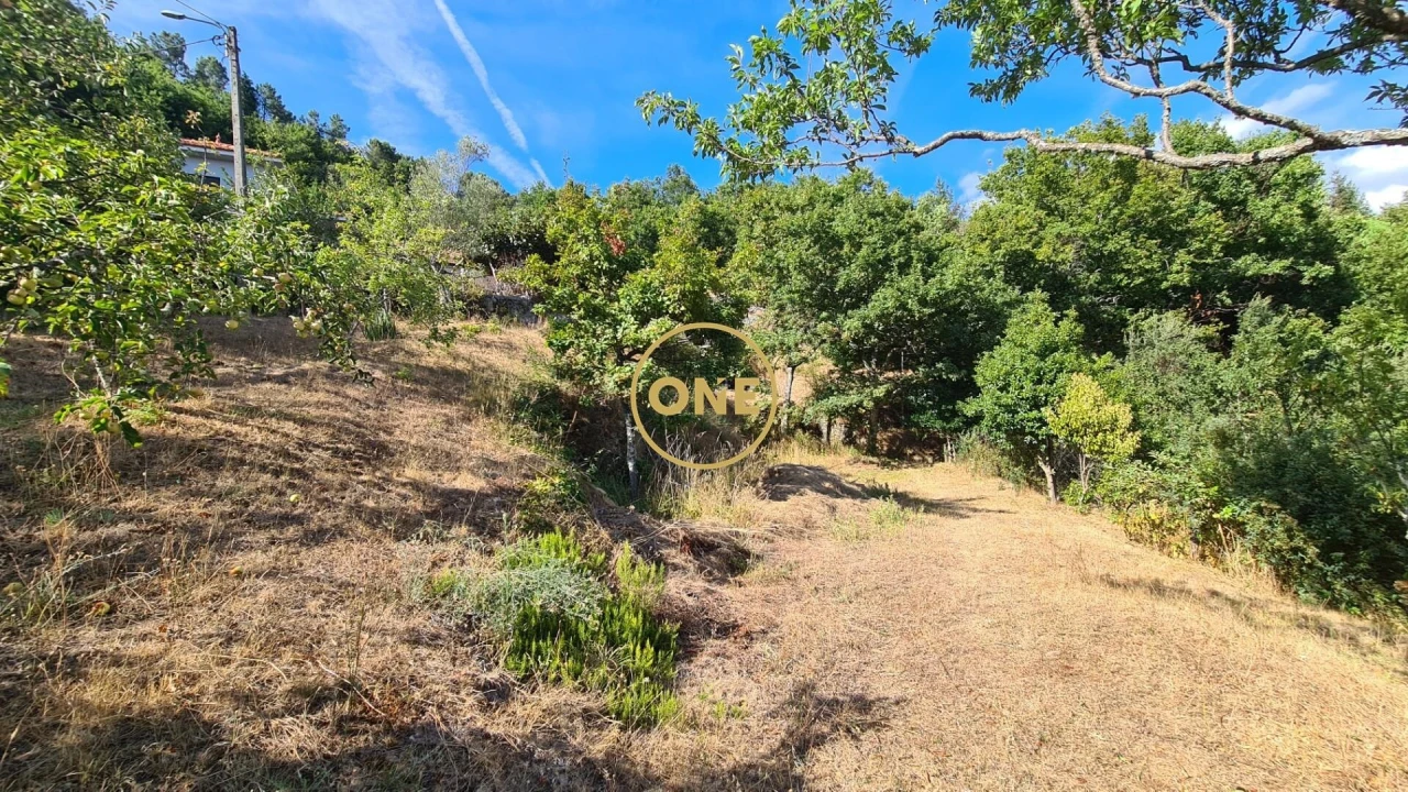 Moradia T5 para Venda em Gondiães e Vilar de Cunhas Foto 34