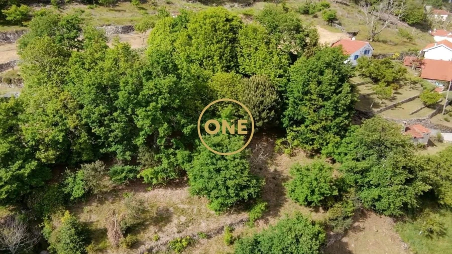 Moradia T5 para Venda em Gondiães e Vilar de Cunhas Foto 35
