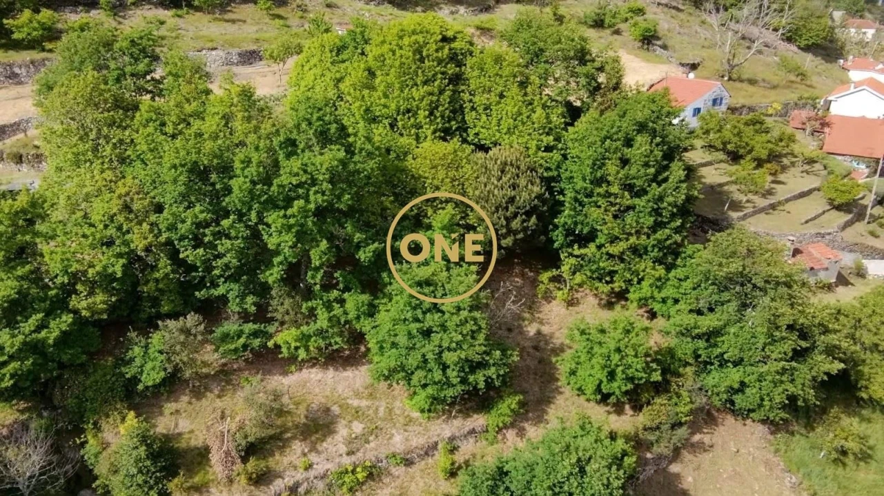 Moradia T5 para Venda em Gondiães e Vilar de Cunhas Foto 35