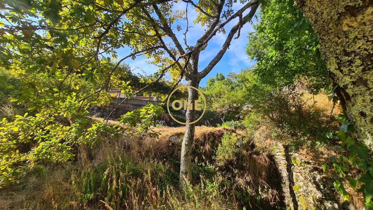 Moradia T5 para Venda em Gondiães e Vilar de Cunhas Foto 36