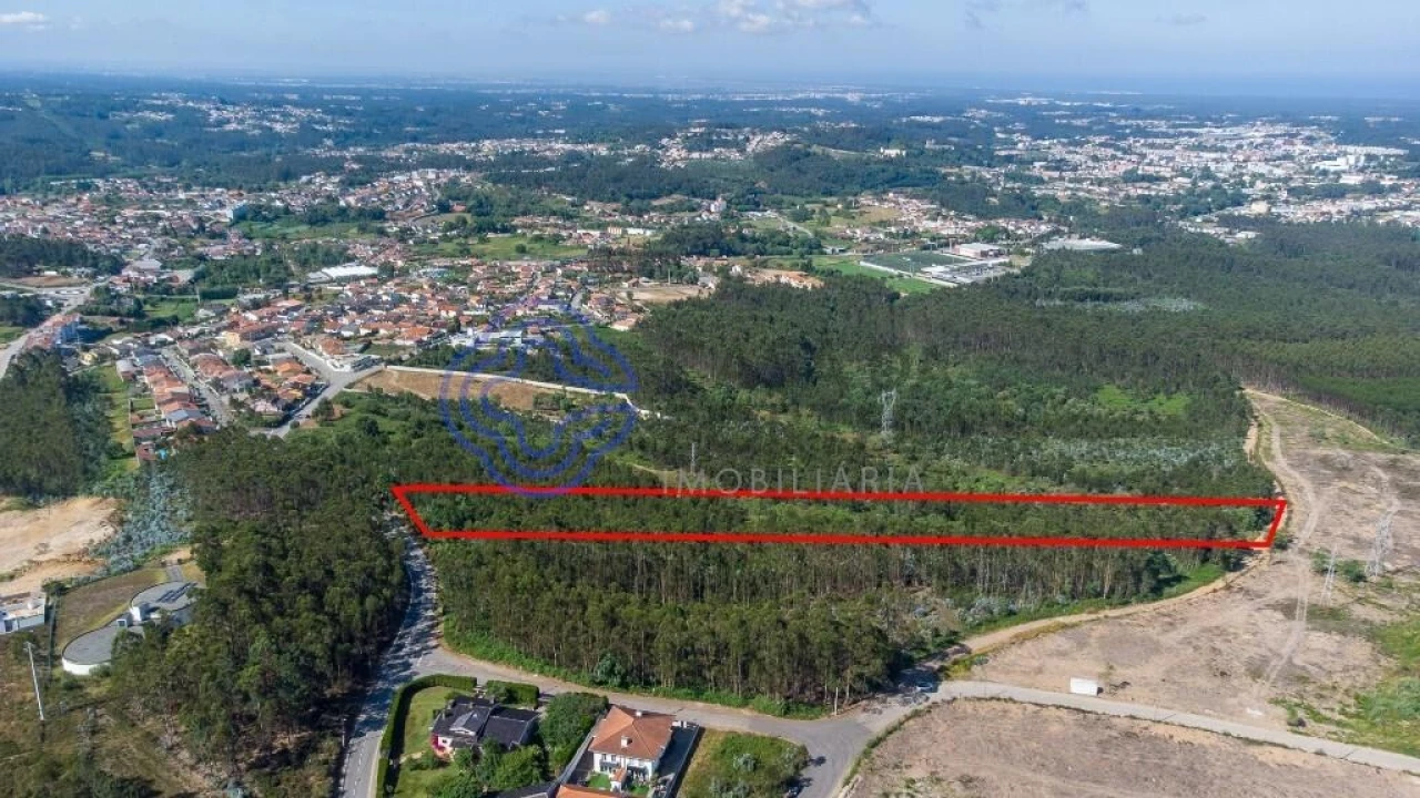 Terreno para Venda em Santa Maria da Feira, Travanca, Sanfins e Espargo Foto 20
