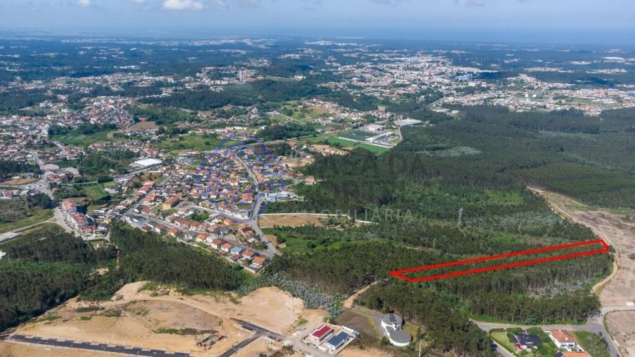 Terreno para Venda em Santa Maria da Feira, Travanca, Sanfins e Espargo Foto 14