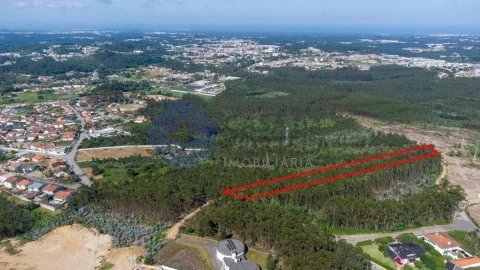 Terreno para Venda em Santa Maria da Feira, Travanca, Sanfins e Espargo