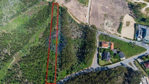 Terreno para Venda em Santa Maria da Feira, Travanca, Sanfins e Espargo