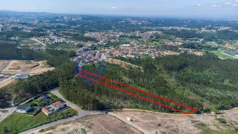Terreno para Venda em Santa Maria da Feira, Travanca, Sanfins e Espargo