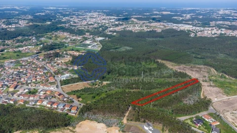 Terreno para Venda em Santa Maria da Feira, Travanca, Sanfins e Espargo