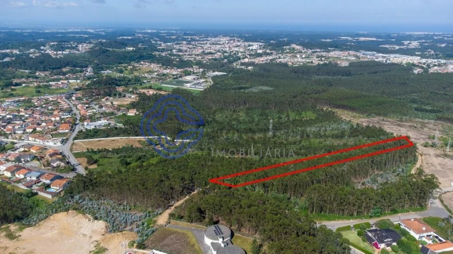 Terreno para Venda em Santa Maria da Feira, Travanca, Sanfins e Espargo Foto 10