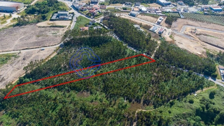 Terreno para Venda em Santa Maria da Feira, Travanca, Sanfins e Espargo Foto 24