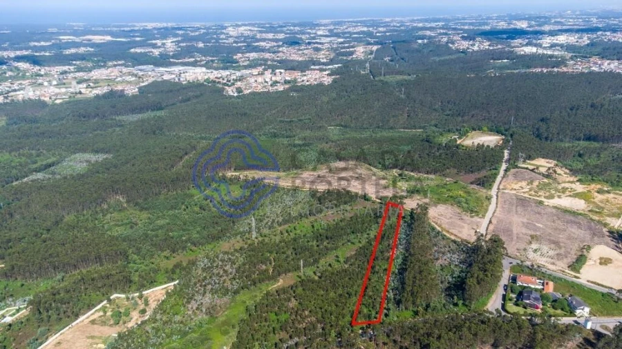Terreno para Venda em Santa Maria da Feira, Travanca, Sanfins e Espargo Foto 6