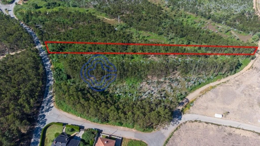 Terreno para Venda em Santa Maria da Feira, Travanca, Sanfins e Espargo Foto 13