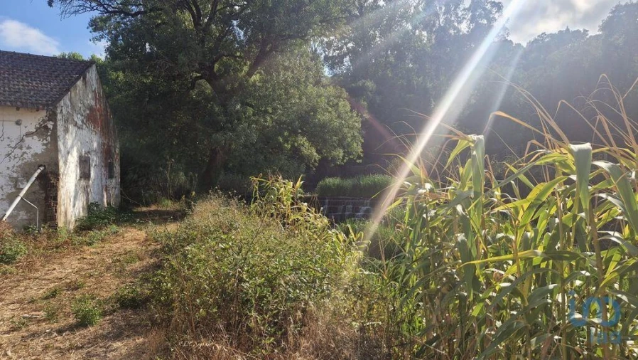 Moradia para Venda em Golpilheira Foto 9