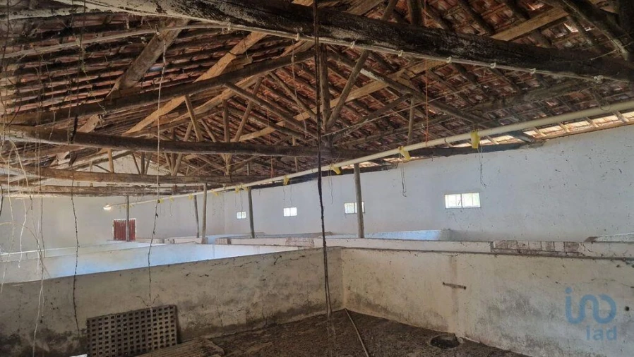 Moradia para Venda em Golpilheira Foto 2