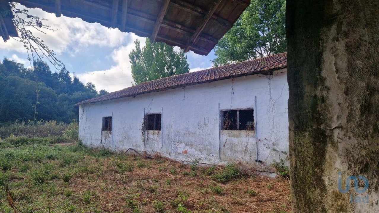 Moradia para Venda em Golpilheira Foto 3