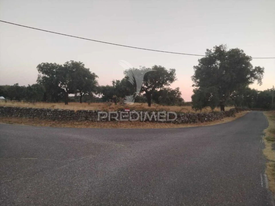 Terreno para Venda em São Salvador da Aramenha Foto 4