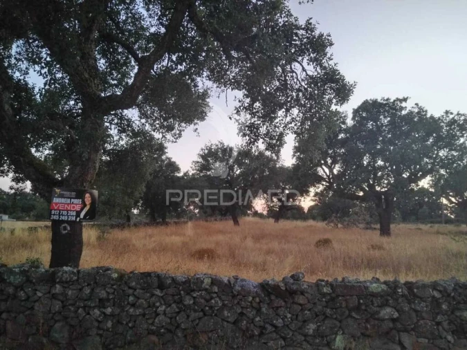Terreno para Venda em São Salvador da Aramenha