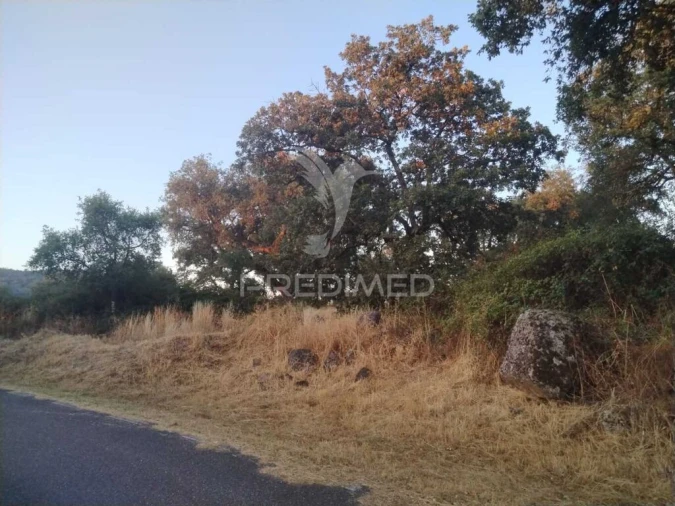 Terreno para Venda em São Salvador da Aramenha Foto 3
