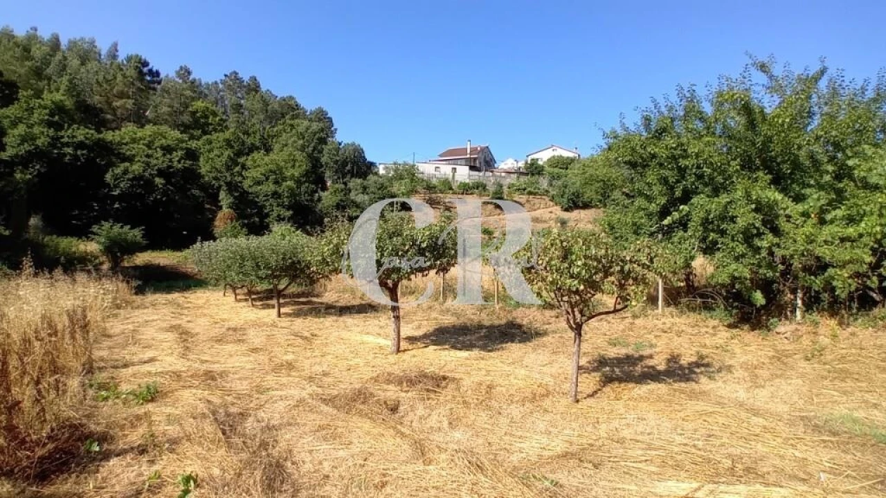 Terreno para Venda em Figueiró dos Vinhos e Bairradas Foto 14