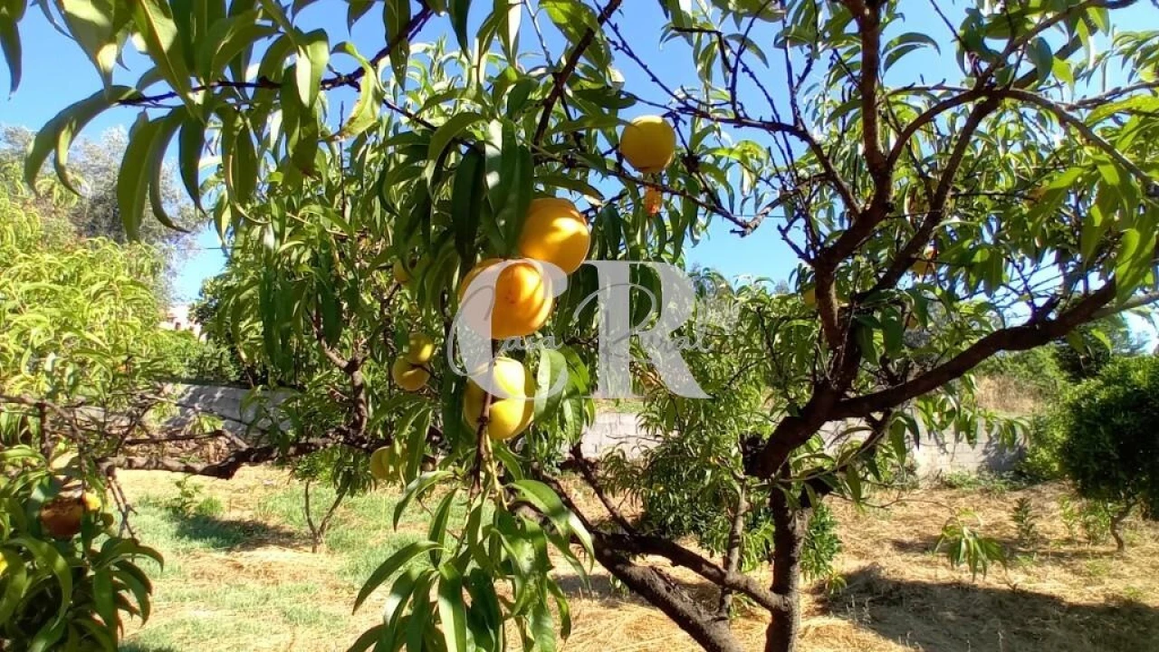 Terreno para Venda em Figueiró dos Vinhos e Bairradas Foto 17