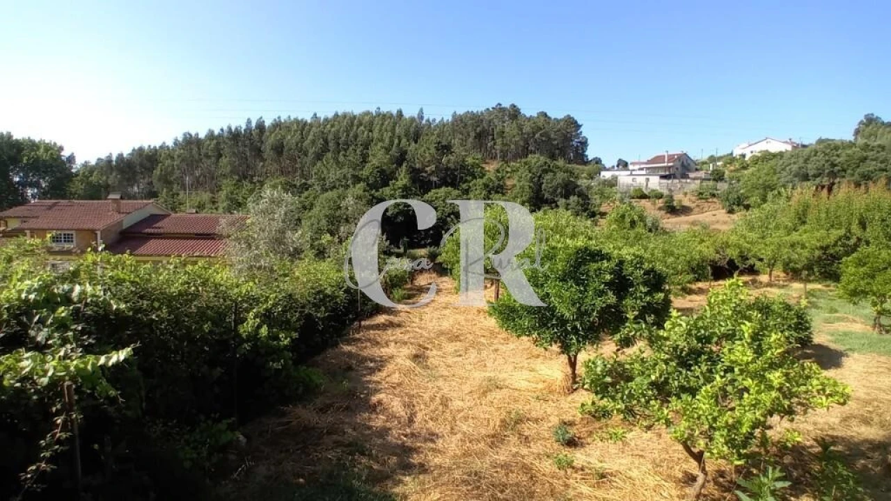 Terreno para Venda em Figueiró dos Vinhos e Bairradas Foto 16