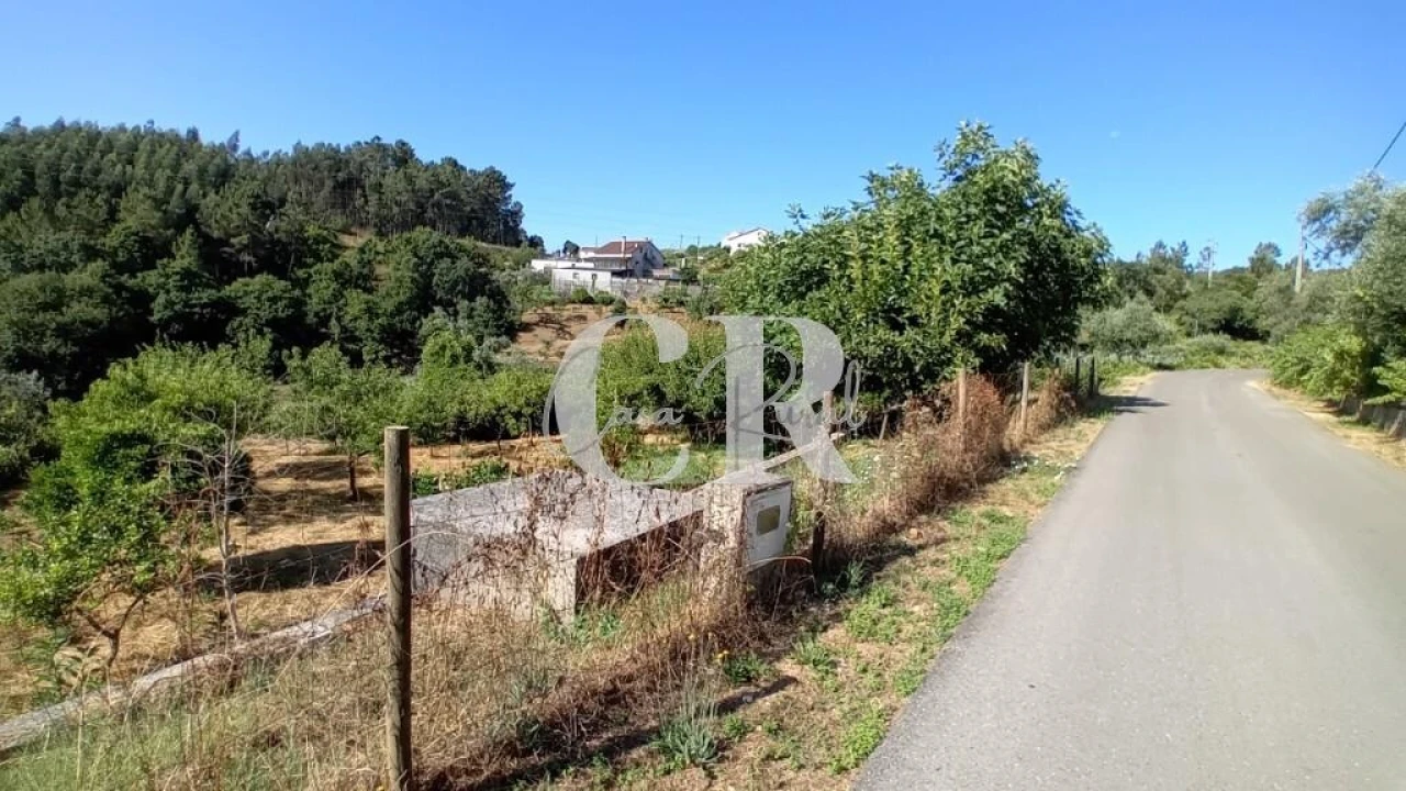 Terreno para Venda em Figueiró dos Vinhos e Bairradas Foto 1