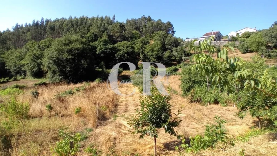 Terreno para Venda em Figueiró dos Vinhos e Bairradas Foto 7