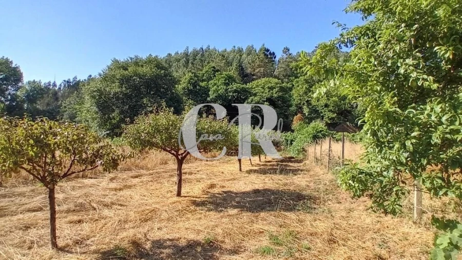 Terreno para Venda em Figueiró dos Vinhos e Bairradas Foto 10