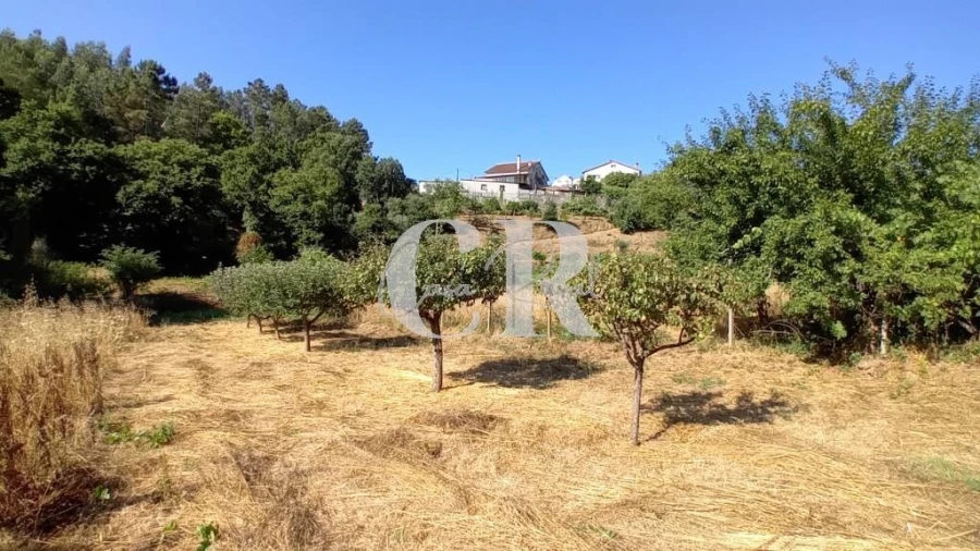 Terreno para Venda em Figueiró dos Vinhos e Bairradas Foto 14