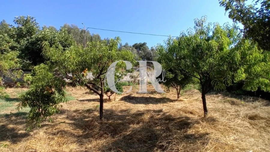 Terreno para Venda em Figueiró dos Vinhos e Bairradas Foto 5