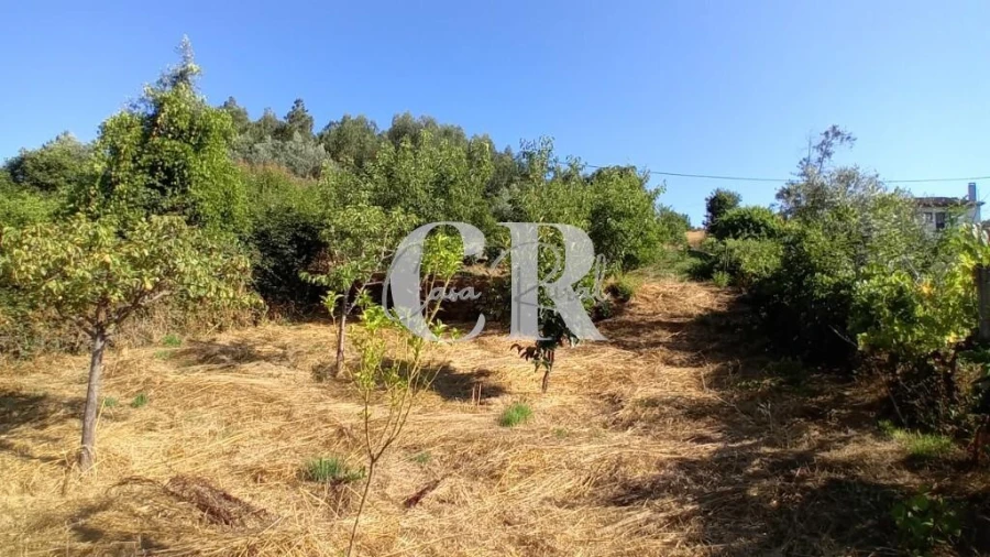 Terreno para Venda em Figueiró dos Vinhos e Bairradas Foto 8