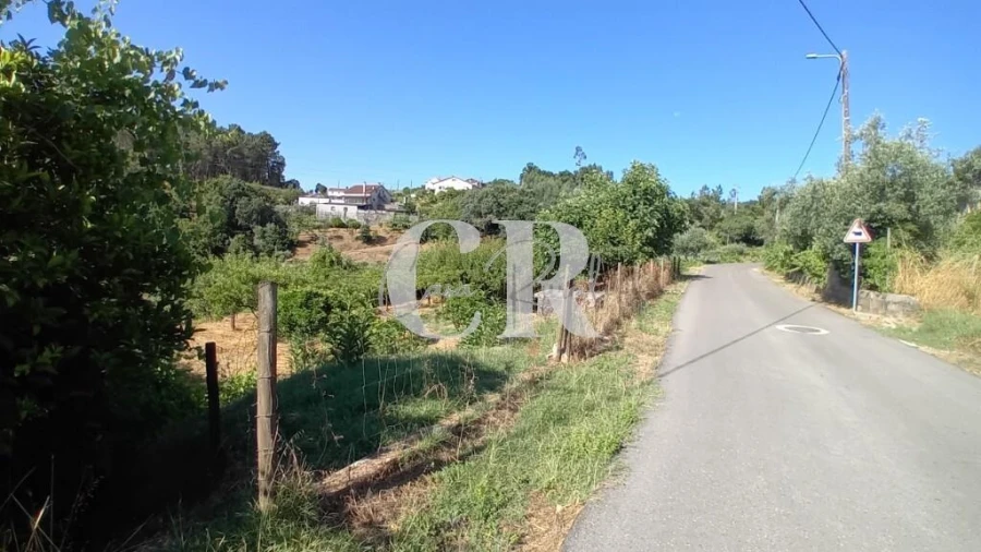 Terreno para Venda em Figueiró dos Vinhos e Bairradas Foto 18