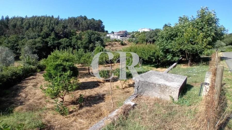 Terreno para Venda em Figueiró dos Vinhos e Bairradas Foto 2