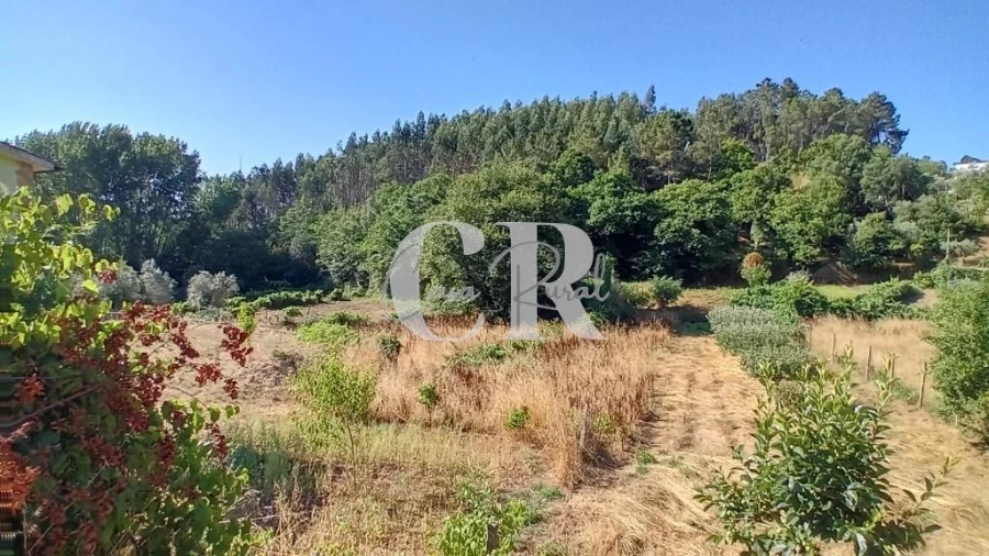 Terreno para Venda em Figueiró dos Vinhos e Bairradas Foto 20