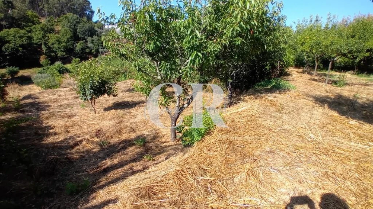 Terreno para Venda em Figueiró dos Vinhos e Bairradas Foto 6