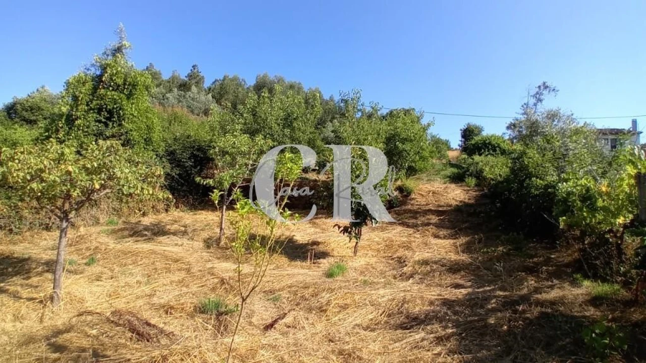 Terreno para Venda em Figueiró dos Vinhos e Bairradas Foto 8