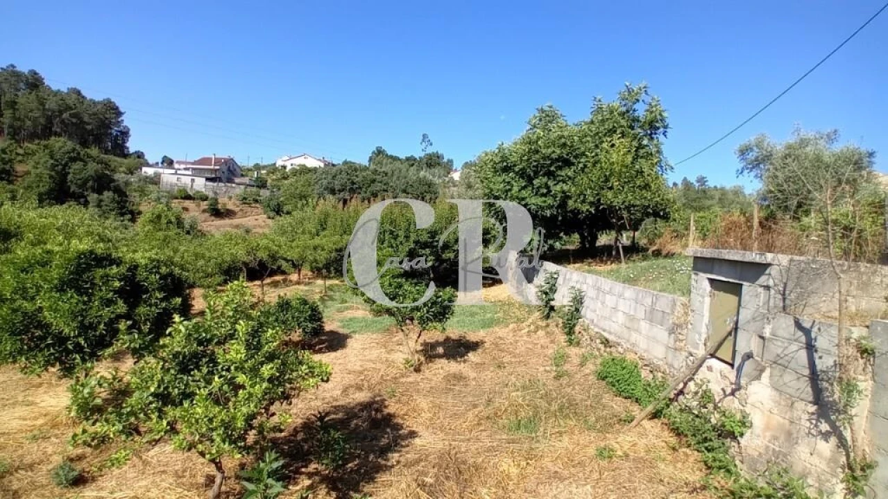 Terreno para Venda em Figueiró dos Vinhos e Bairradas Foto 3
