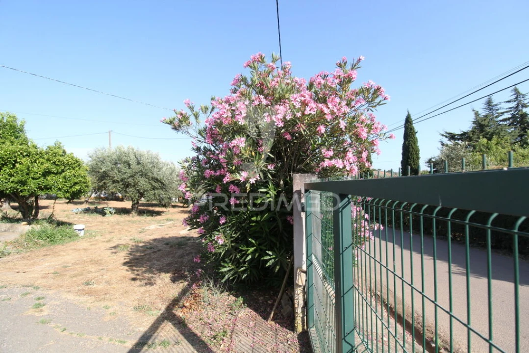 Quinta T3 para Venda em Colos Foto 15