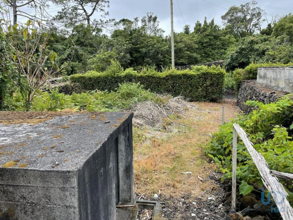 Moradia T2 para Venda em Urzelina (São Mateus) Foto 12