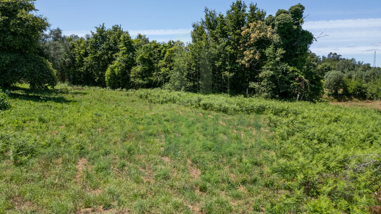 Terreno para Venda em São Julião e Silva Foto 3